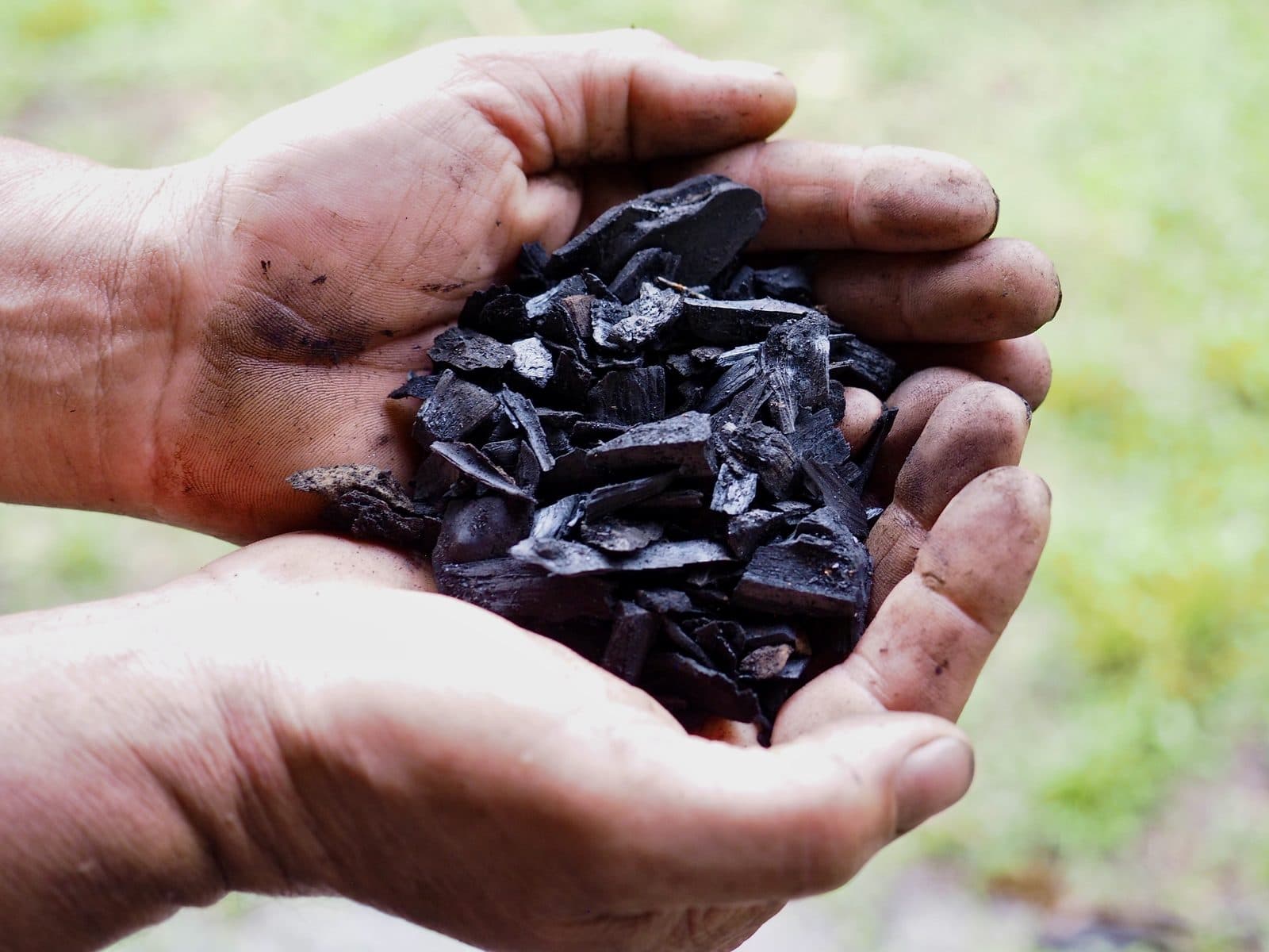 Two hands cupping a pile of finished biochar