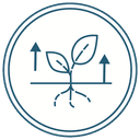Sapling with growth arrows
